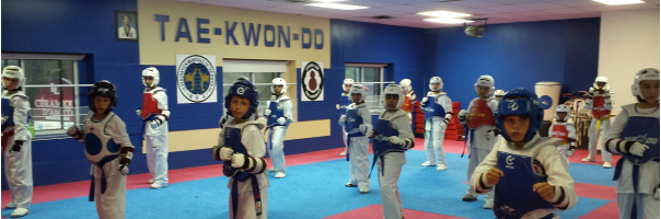 West Island Tae Kwon Do About The School